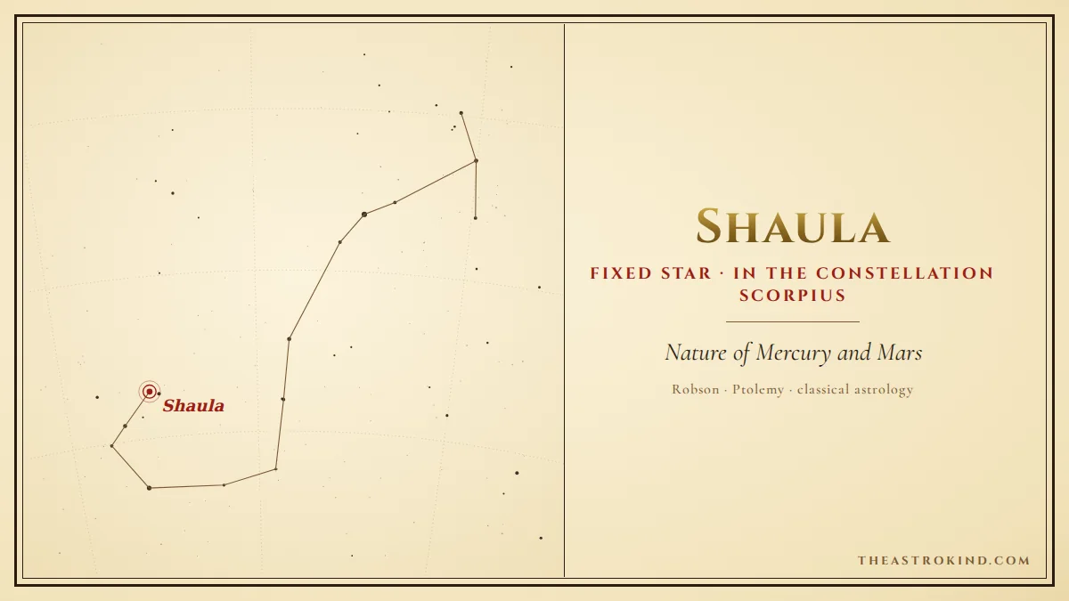 What Does Shaula in Your Natal Chart Reveal?