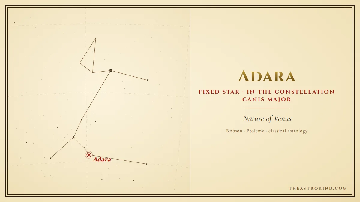 What Does Adara Mean in Your Natal Chart?